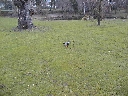 222kl.jpg