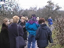 226kl.jpg
