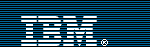 IBM Business Consulting Services